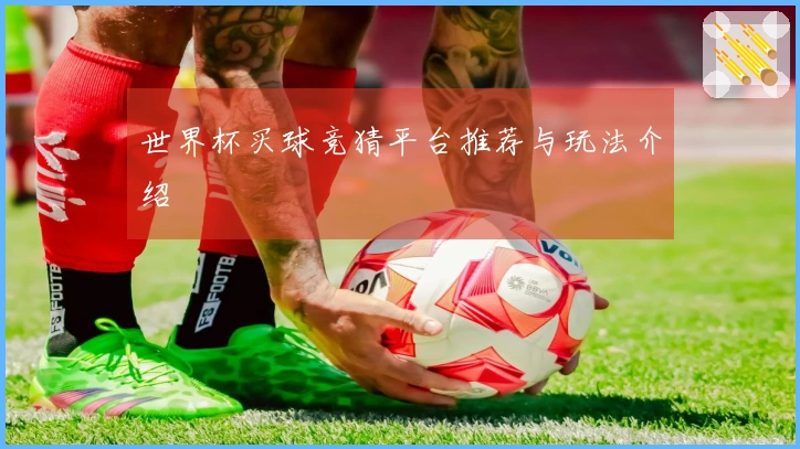 世界杯买球竞猜平台推荐与玩法介绍