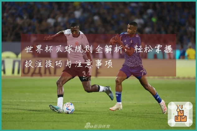 世界杯买球规则全解析，轻松掌握投注技巧与注意事项