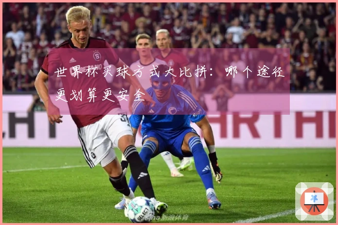 世界杯买球方式大比拼：哪个途径更划算更安全