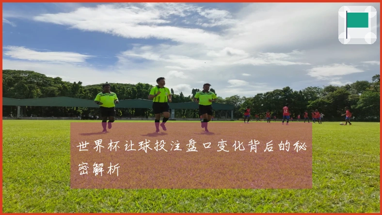 世界杯让球投注盘口变化背后的秘密解析