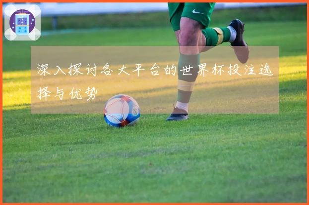 深入探讨各大平台的世界杯投注选择与优势