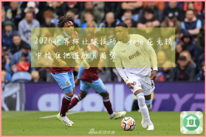 2026世界杯让球技巧，如何在竞猜中精准把握胜负局势