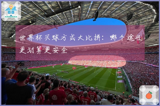 世界杯买球方式大比拼：哪个途径更划算更安全