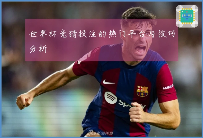 世界杯竞猜投注的热门平台与技巧分析