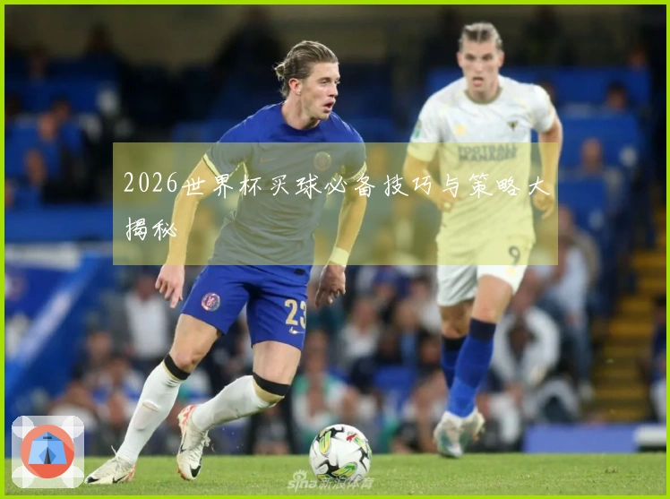2026世界杯买球必备技巧与策略大揭秘