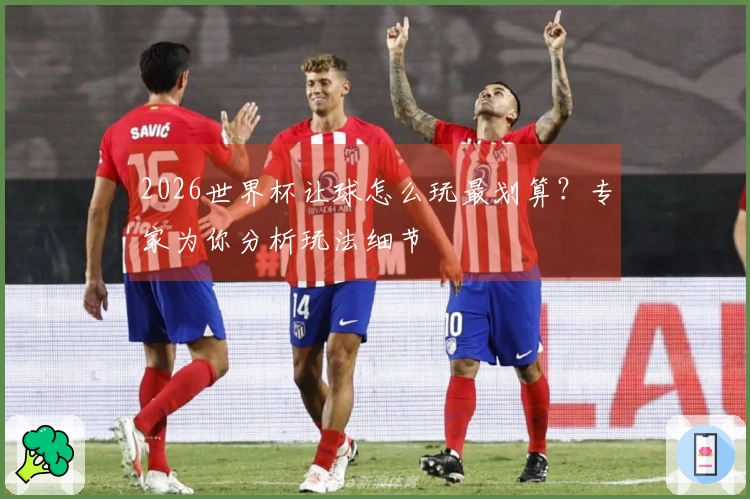 2026世界杯让球怎么玩最划算?专家为你分析玩法细节