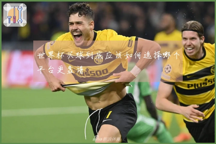 世界杯买球到底应该如何选择哪个平台更靠谱