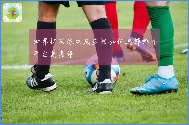 世界杯买球到底应该如何选择哪个平台更靠谱