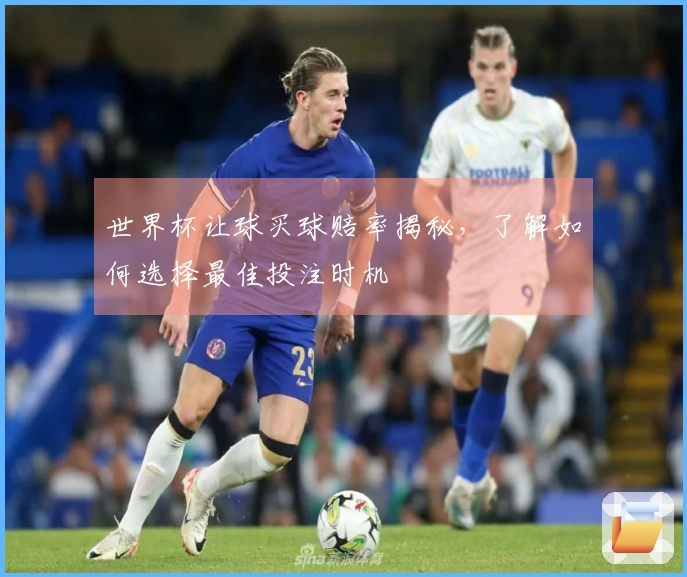 世界杯让球买球赔率揭秘，了解如何选择最佳投注时机