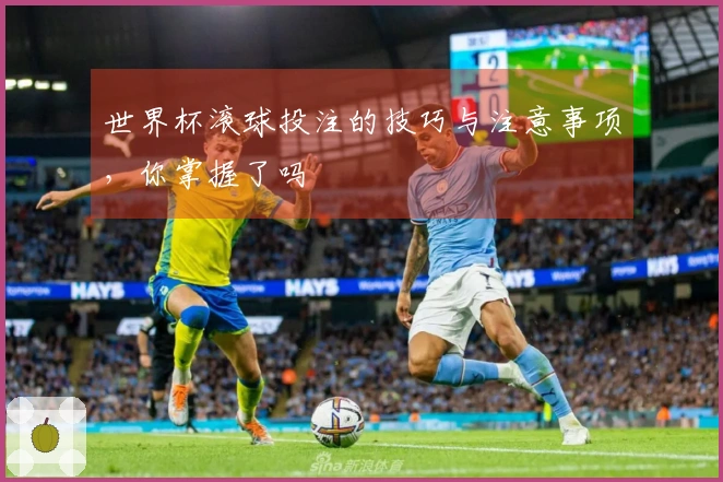世界杯滚球投注的技巧与注意事项，你掌握了吗