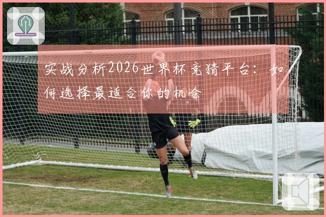 实战分析2026世界杯竞猜平台：如何选择最适合你的机会