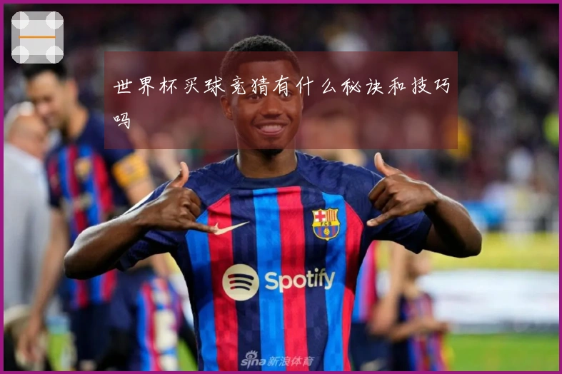 世界杯买球竞猜有什么秘诀和技巧吗