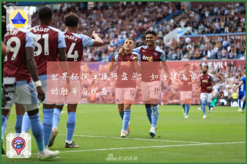 世界杯投注技巧盘点：如何提高你的胜率与收益