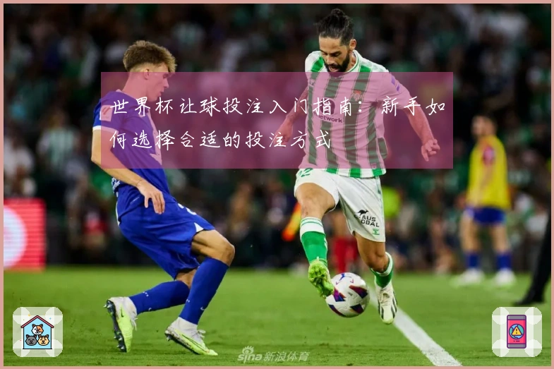 世界杯让球投注入门指南：新手如何选择合适的投注方式