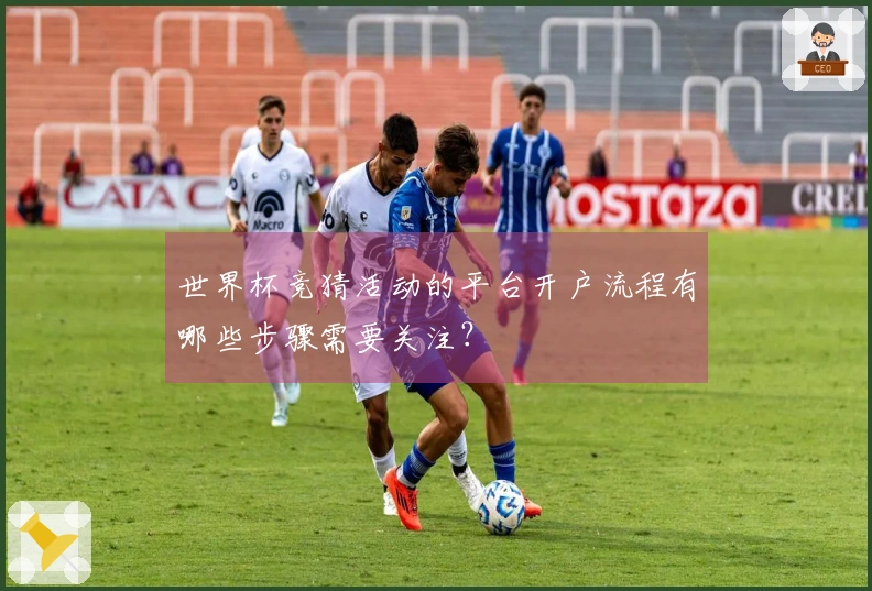 世界杯竞猜活动的平台开户流程有哪些步骤需要关注？