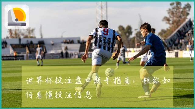 世界杯投注盘口新手指南，教你如何看懂投注信息
