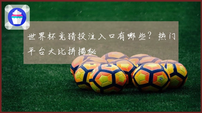 世界杯竞猜投注入口有哪些？热门平台大比拼揭秘