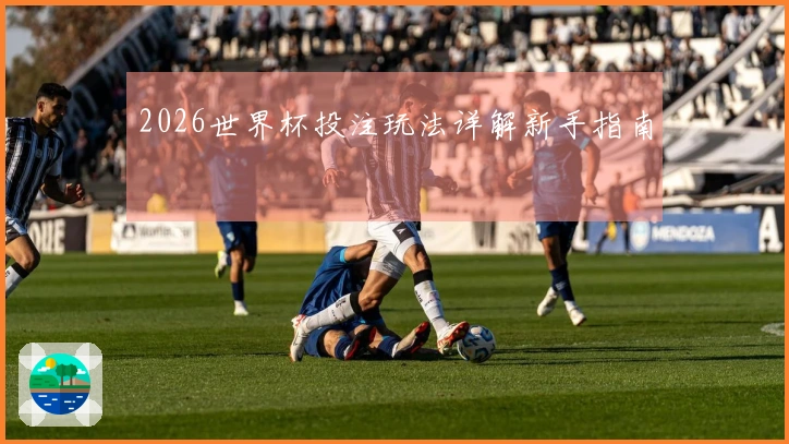 2026世界杯投注玩法详解新手指南